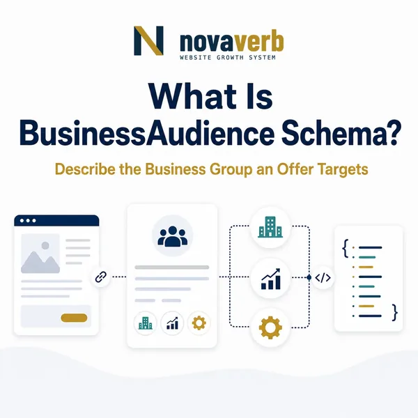 What Is BusinessAudience Schema?